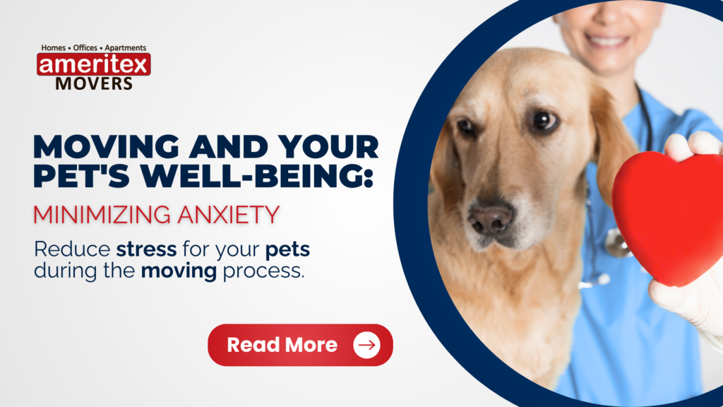 Moving and Your Pet's Well-Being Minimizing Anxiety