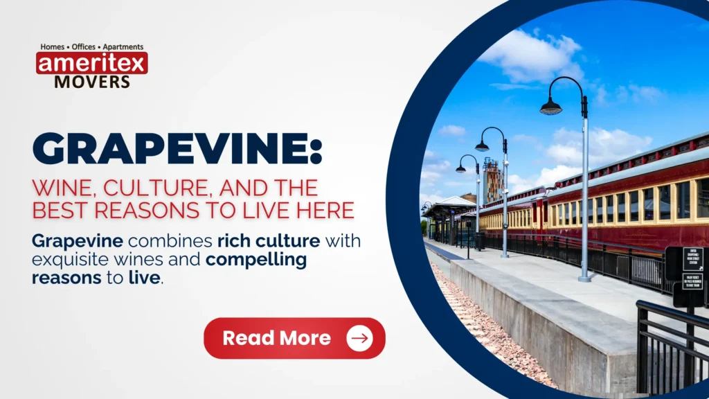 Grapevine culture